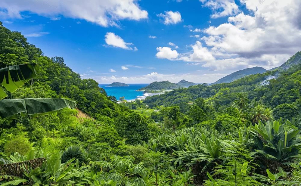 Où aller aux îles Seychelles