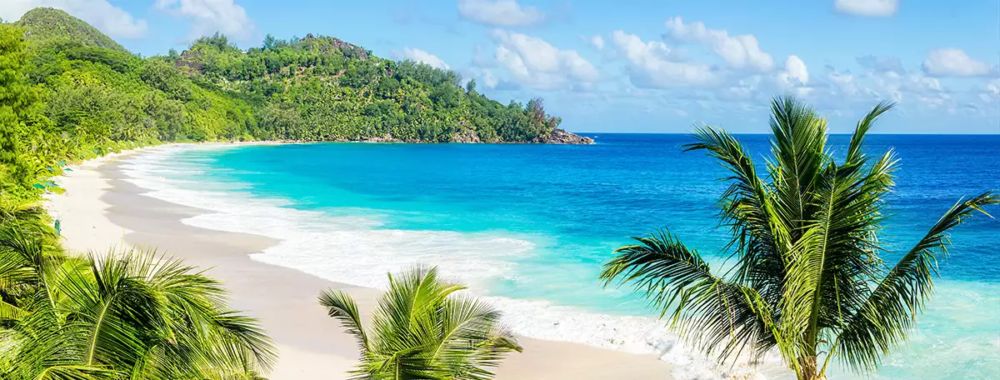 Où trouver les palmiers des Seychelles