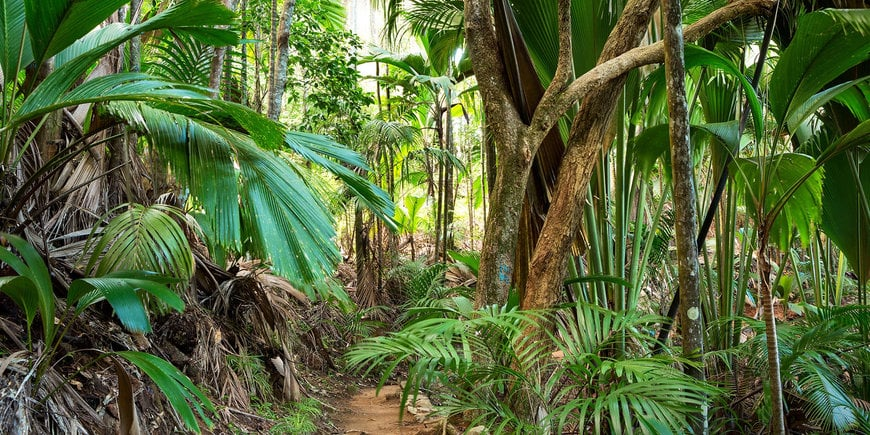 Où aller aux Seychelles