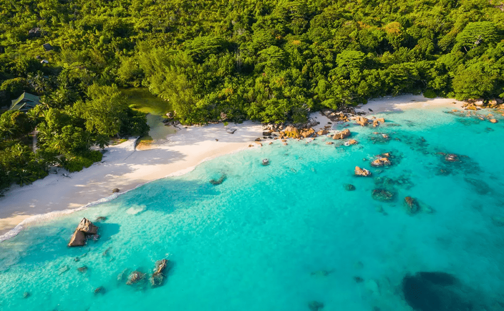 Où aller au lagon des Seychelles