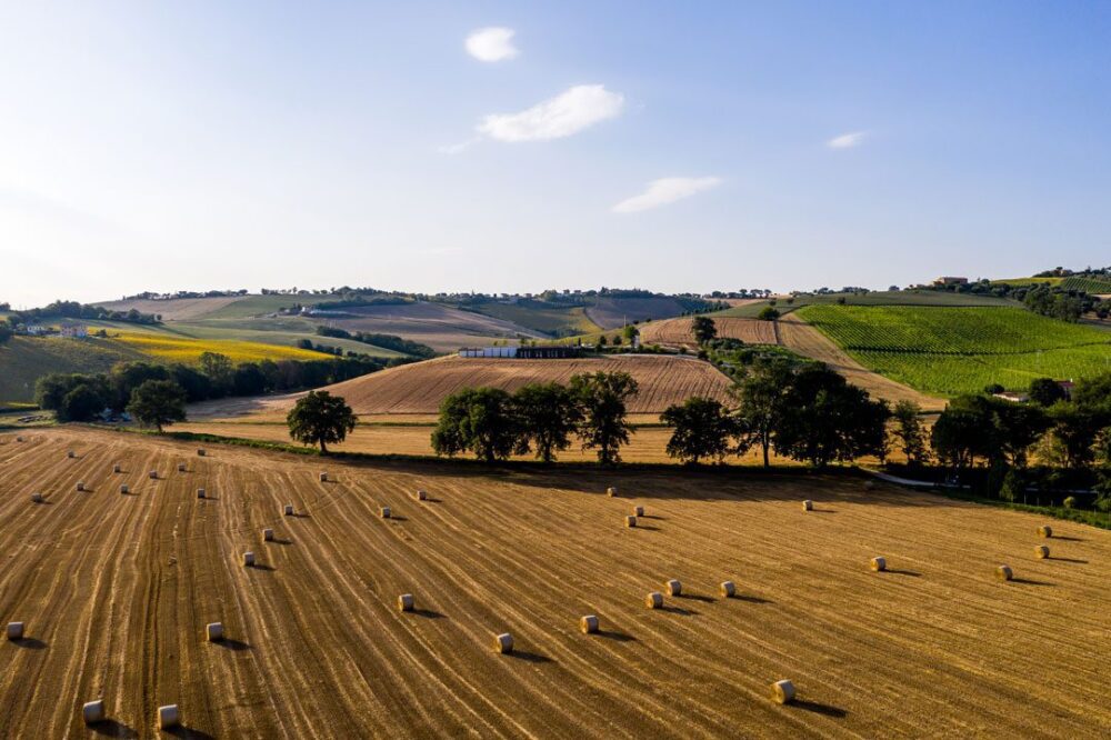 Pâtes d'Italie