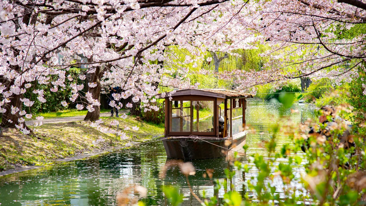 La beauté du Japon