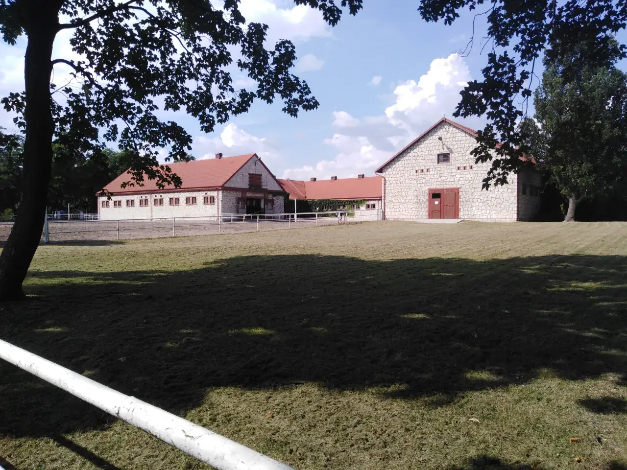Chevaux arabes en Pologne