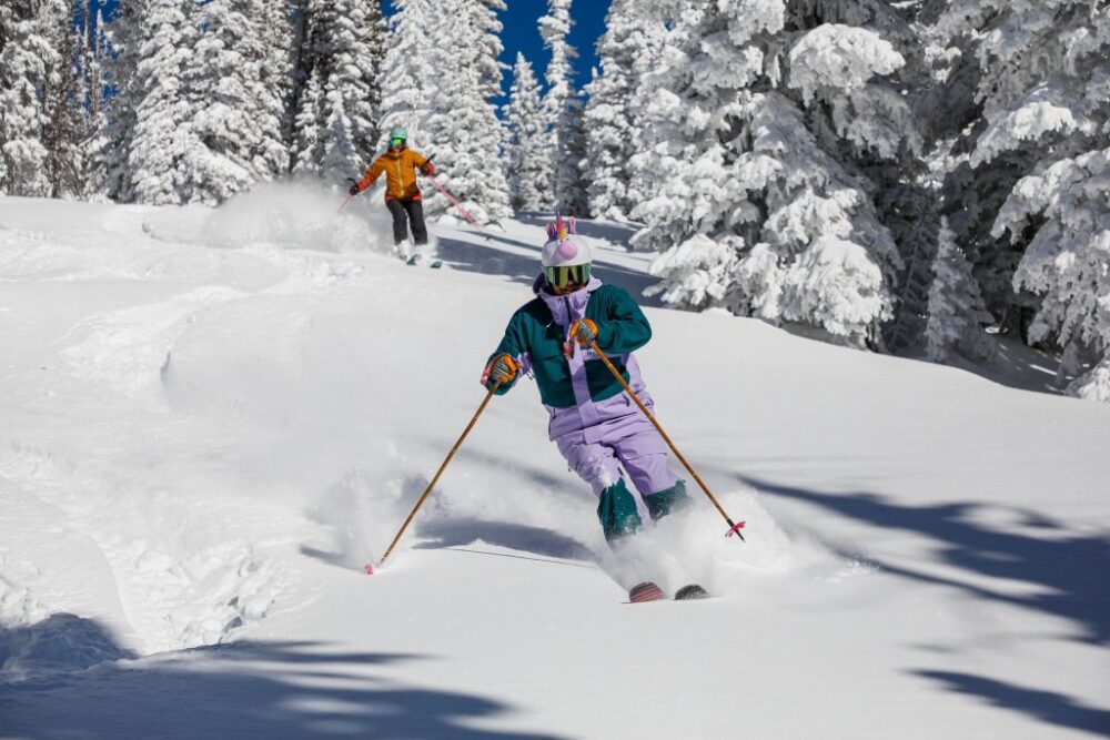 Quel est le prix des skis premium