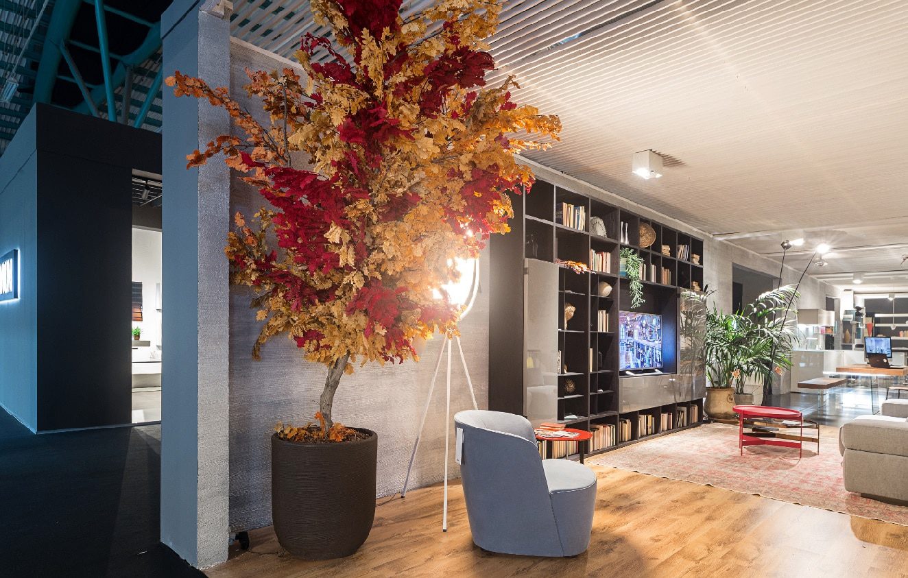 Comment stabiliser les plantes Blog