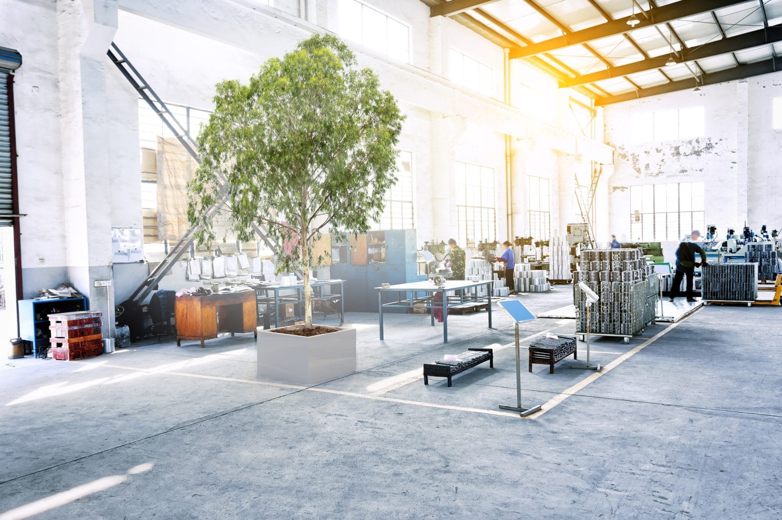 Comment stabiliser les plantes