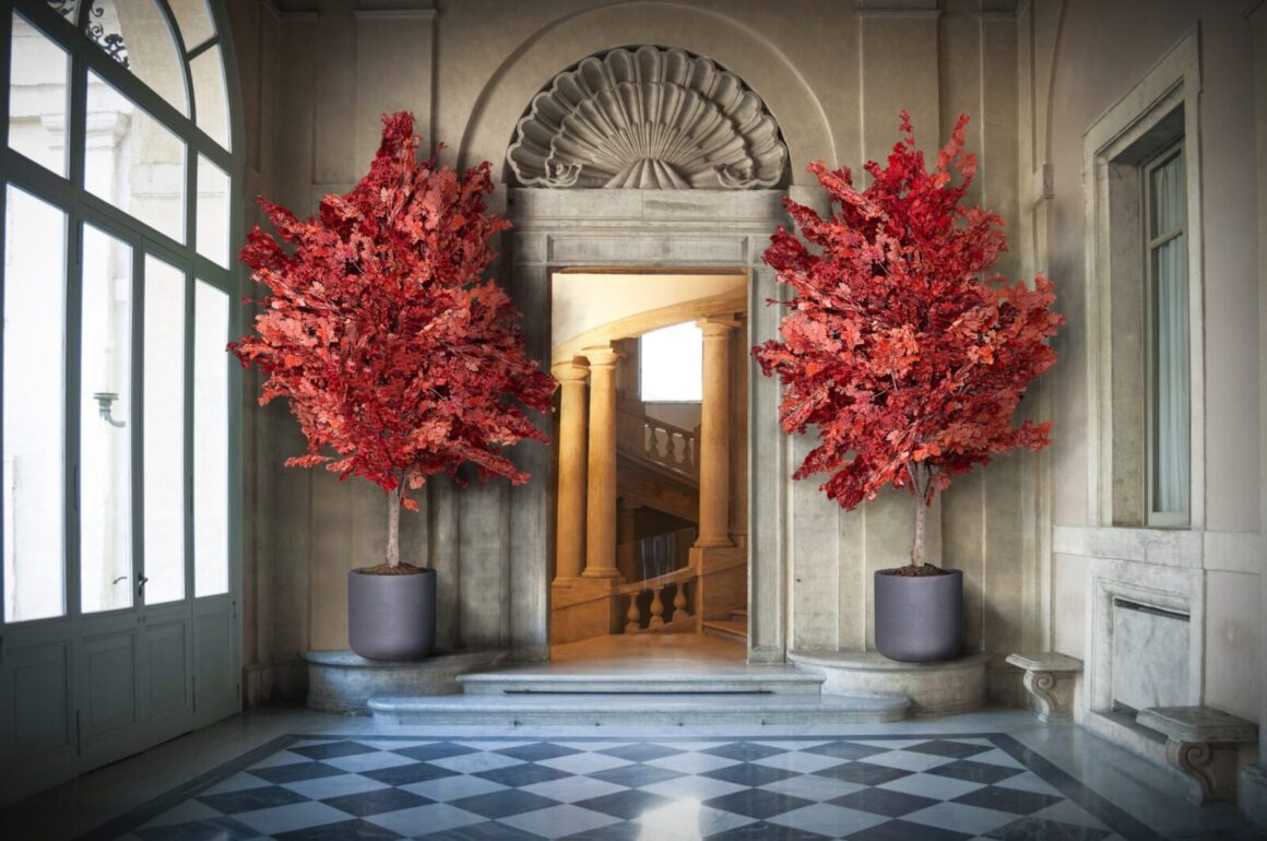 En quoi consiste la stabilisation des plantes ?