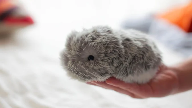 Moflin est-il un robot