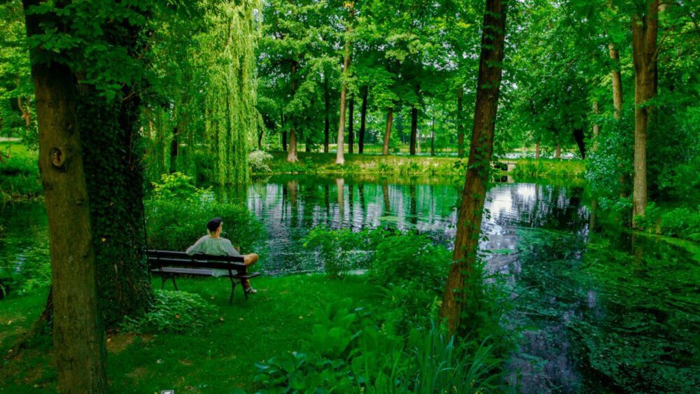 Hôtel Manor House Park