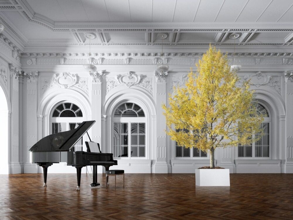 Plantes stabilisées