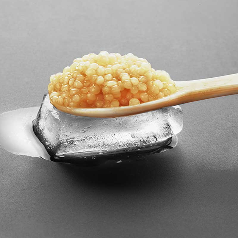 Qu'est-ce que Kest Kawior