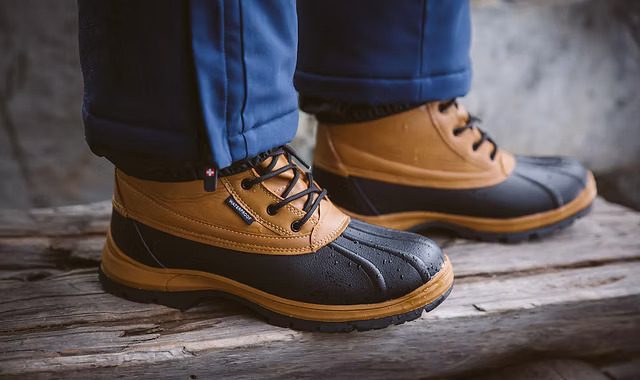 Vertigo Alpes Quelle Est Cette Entreprise