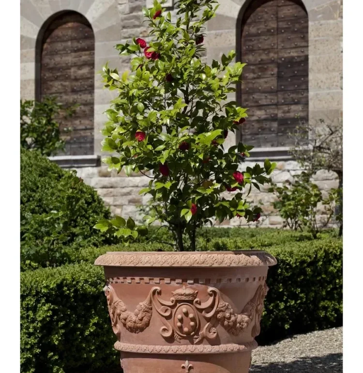 Avantages Des Pots En Terre Cuite Originaux Sante Des Plante