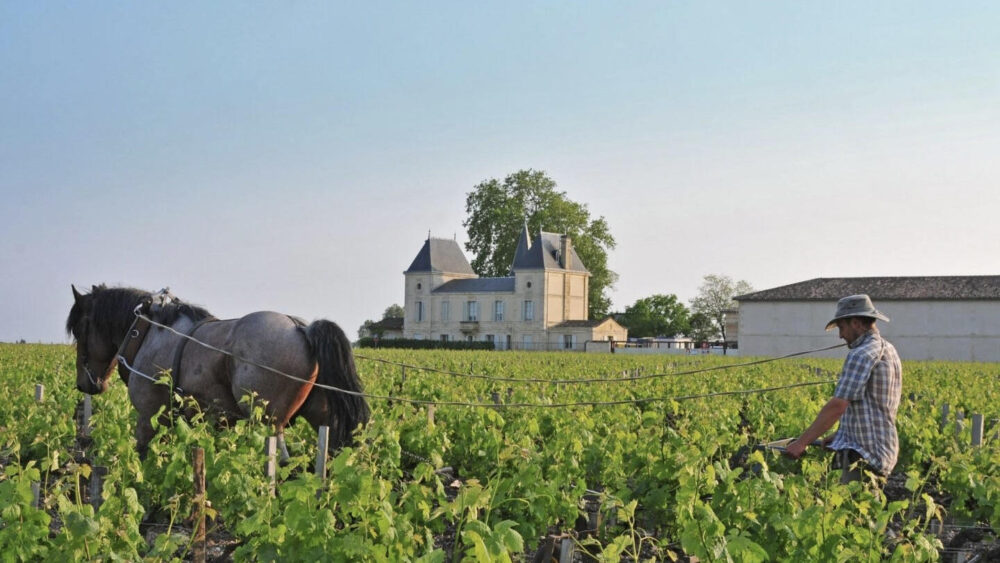 Vin Chateau Margaux Prix
