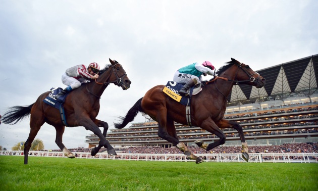 Frankel l'emporte devant Cirrus Des Aigles 20 10 12 Photo Bill Selwyn