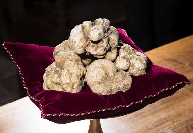 Quelles truffes sont les plus chères et combien coûtent-elles