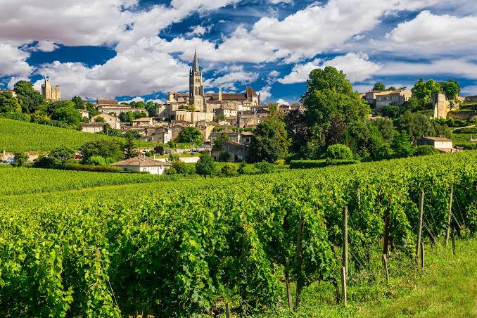 Région viticole de Bordeaux