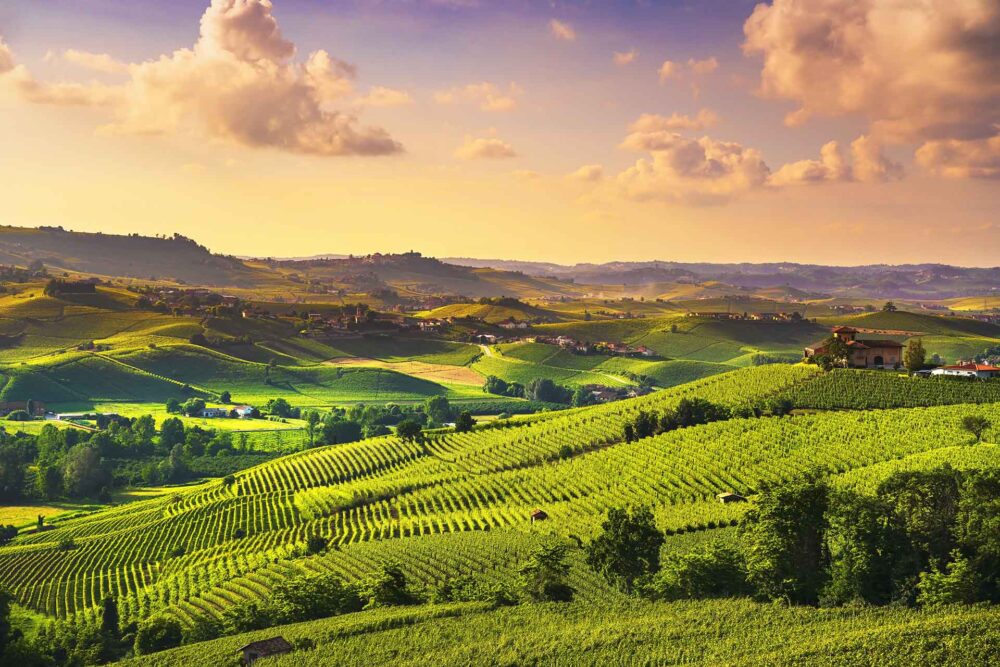 Panorama au coucher du soleil sur les vignobles des Langhe, Barolo, Piémont, Italie, Europe