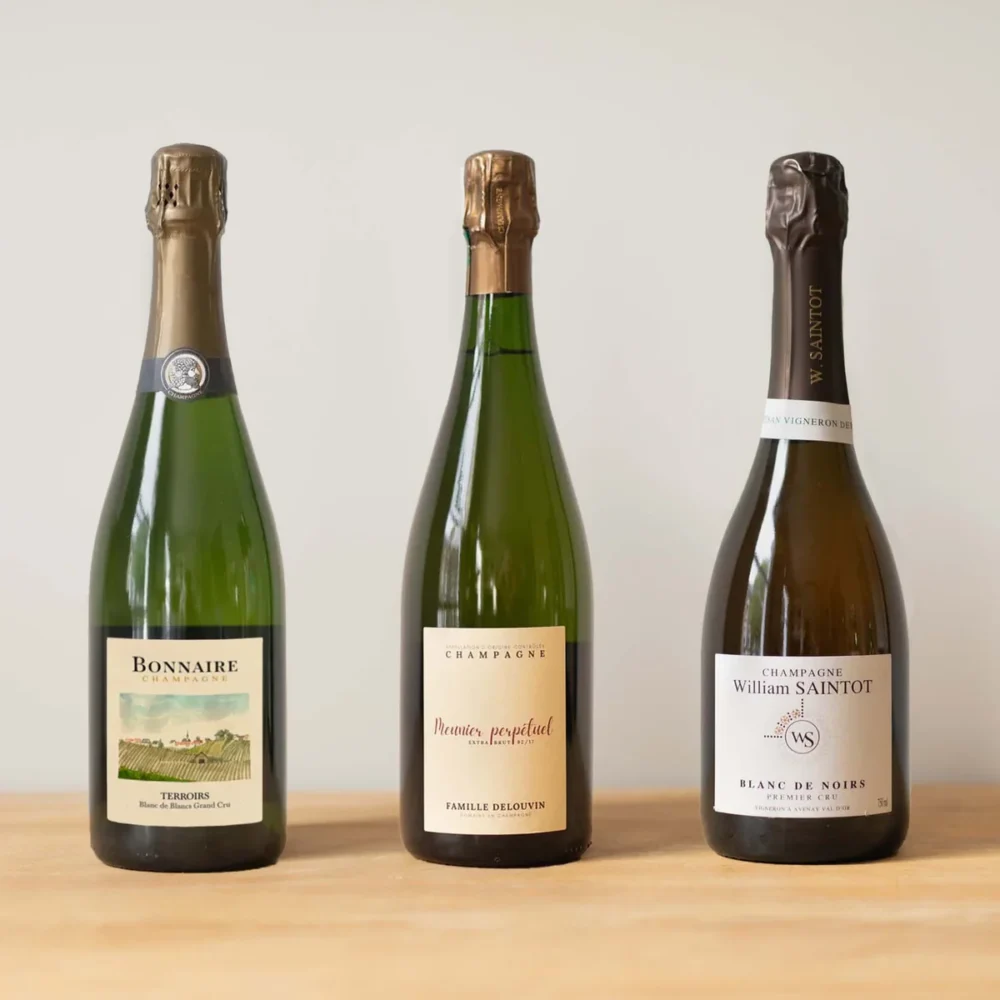 Blanc De Blancs Vs Blanc De Noirs Différences