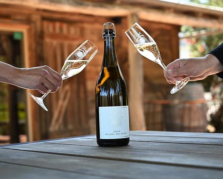 Blanc De Blancs Vs Blanc De Noirs Prix